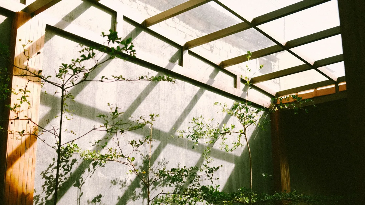 Sunlight streaming through a greenhouse ceiling casts shadows on a gray concrete wall.
