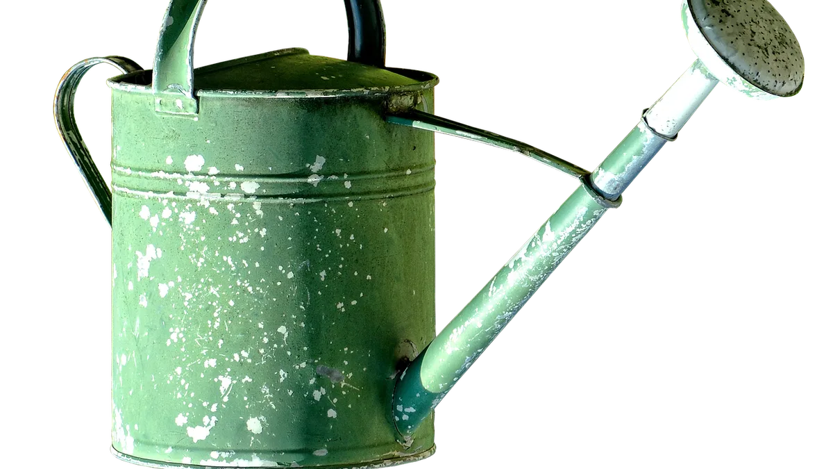 watering can, can, garden, to water, irrigation, green, old, nature, water, casting, graveyard, zinc plated, vessel, metal, isolated