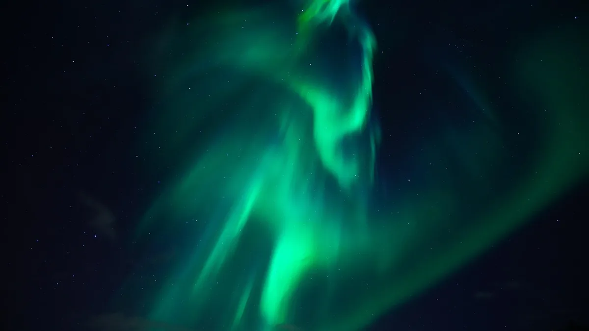 northern lights, aurora, light phenomenon, shining, green, greenish, solar wind, aurora borealis, space, cosmos, universe, night sky, night, darting, flicker, chaotic, natural wonders, light bands, excited nitrogen atoms, excited atoms, excited oxygen atoms, fluorescence, high atmosphere, electric meteor, polar region, accelerated particles, charged particles, earth's magnetosphere, atmosphere, magnetosphere, ionization, sun emission, solar wind bursts, magnetic rekonnexion, solar wind particles, solar wind plasma, earth's magnetic field, energy release, fluorescent light, nature wallpaper, space background, black background, black sky, black earth, black sun, black light, black night, black universe, black wallpaper, black energy, black field, black natural, black lights, northern lights, northern lights, northern lights, northern lights, aurora, aurora, green, aurora borealis, space, space, space, space, space, universe, black background, black background