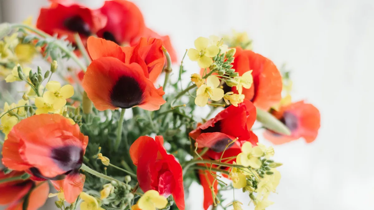 Close-up of a bouquet with red anemones and yellow flowers in a vase. Bright, decorative, floral arrangement.